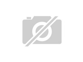 Suche Diamanttäubchen